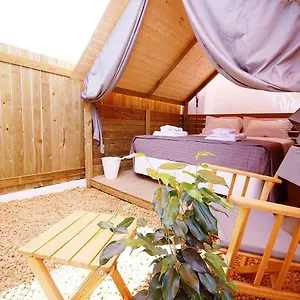 Lemon Tree Urban Camping Campsite